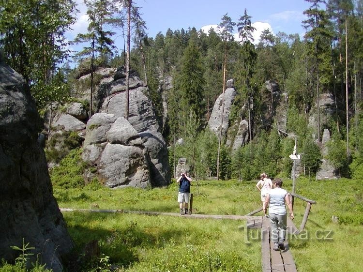 Garganta del lobo junto al lago