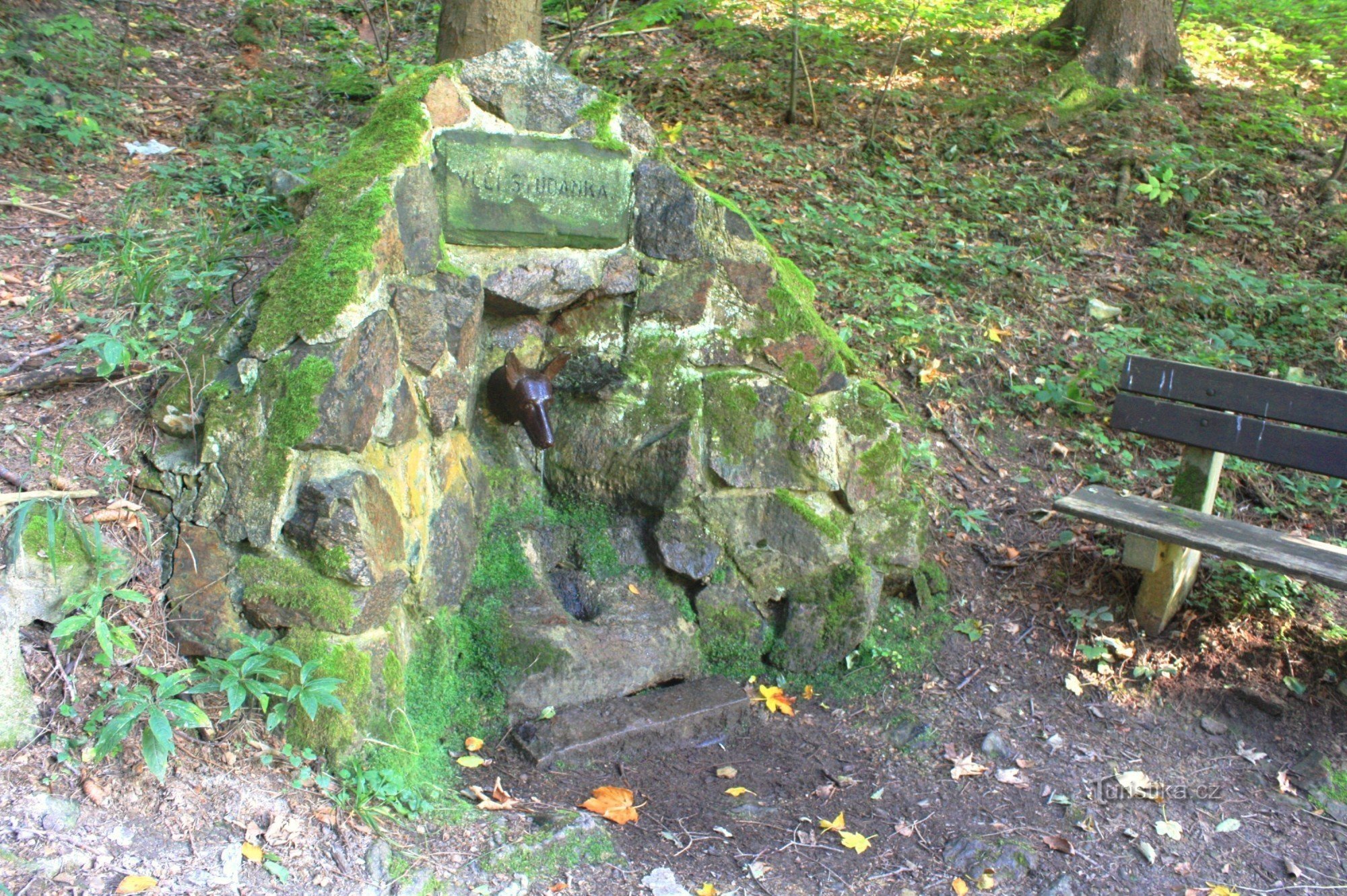 Wolf well