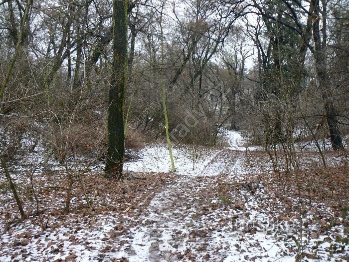 S lijeve strane bedem sa jarkom