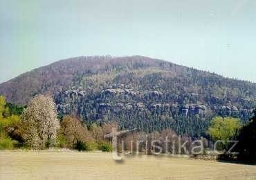 Водно-болотні угіддя