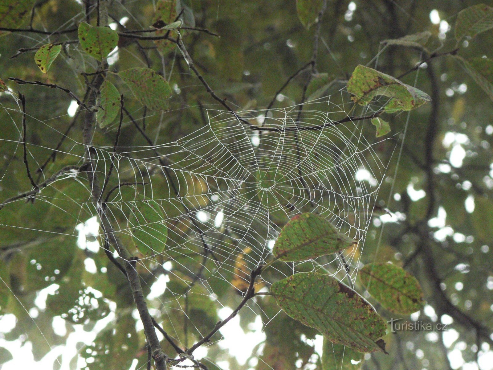 Die Moldau ist großartig im September