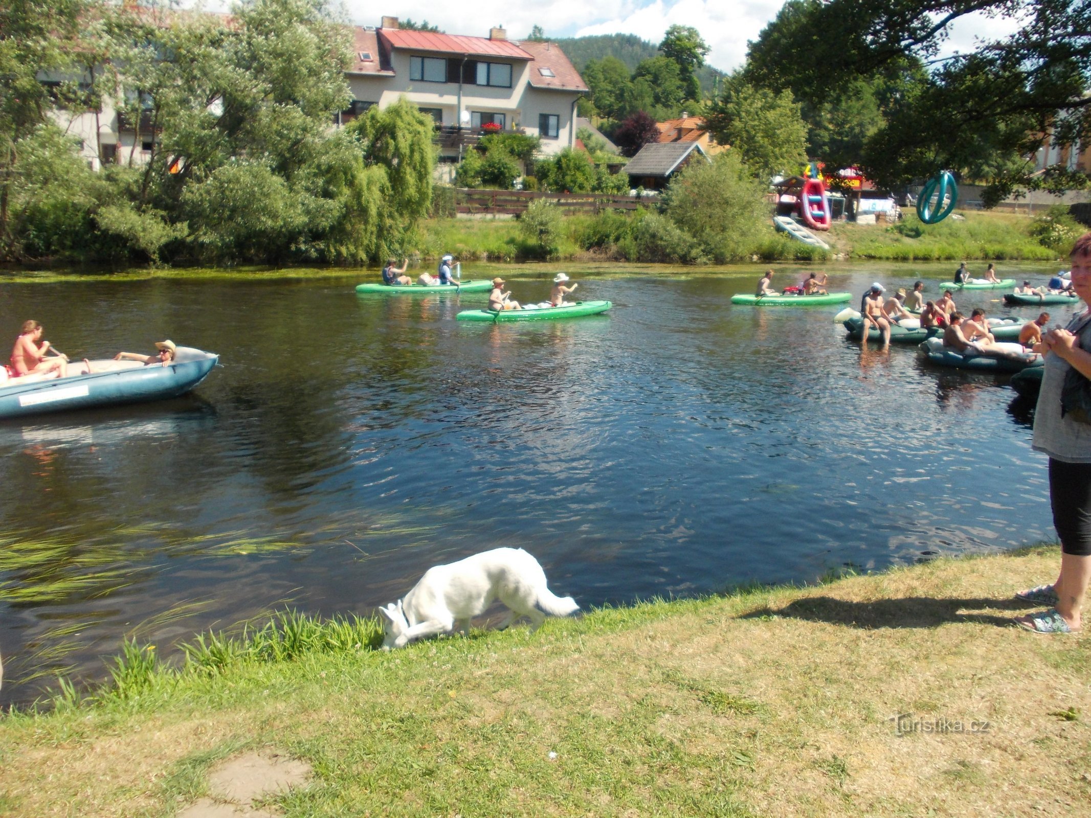 Vltava near Vyšší Brod