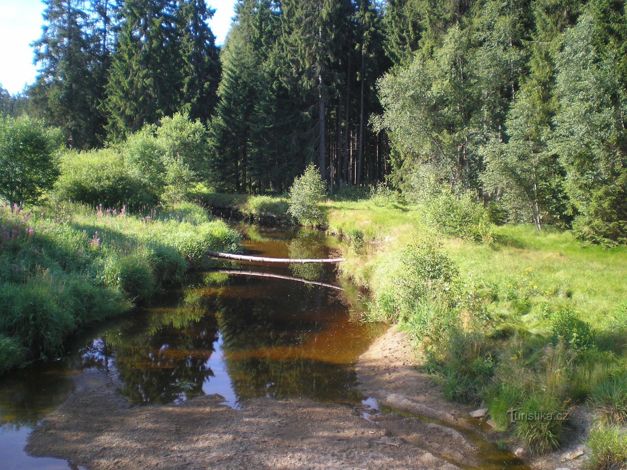 Moldau in Stožec