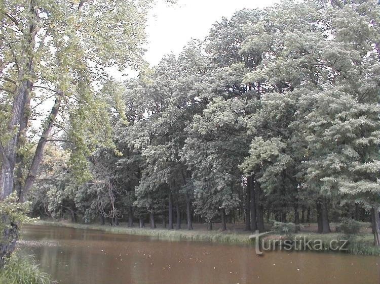 Das Moldaubecken unter dem Kralup-Schwimmbad