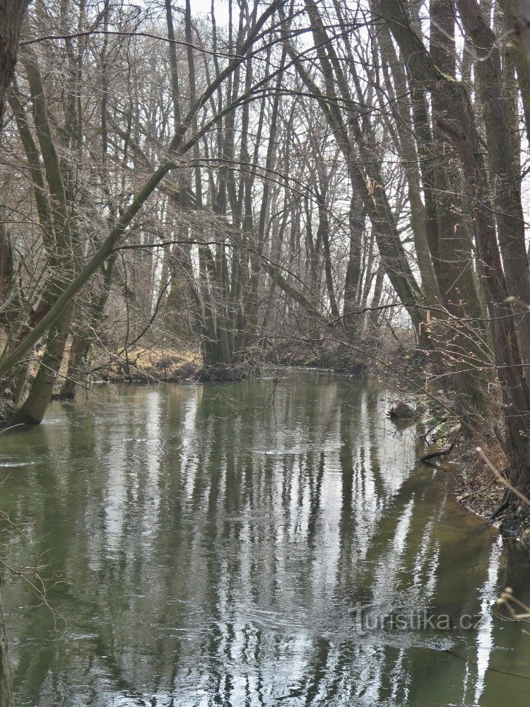 An inland delta