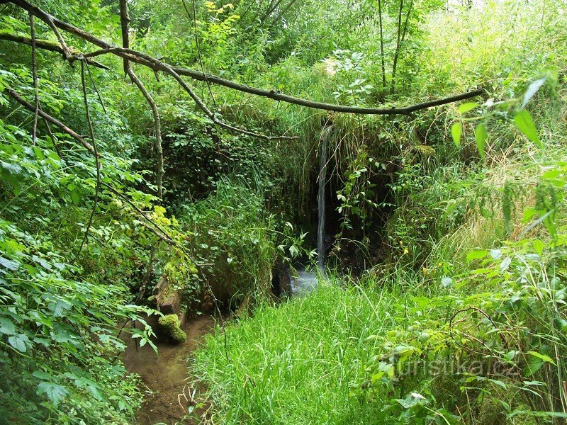 The water falls from about 1.5 meters