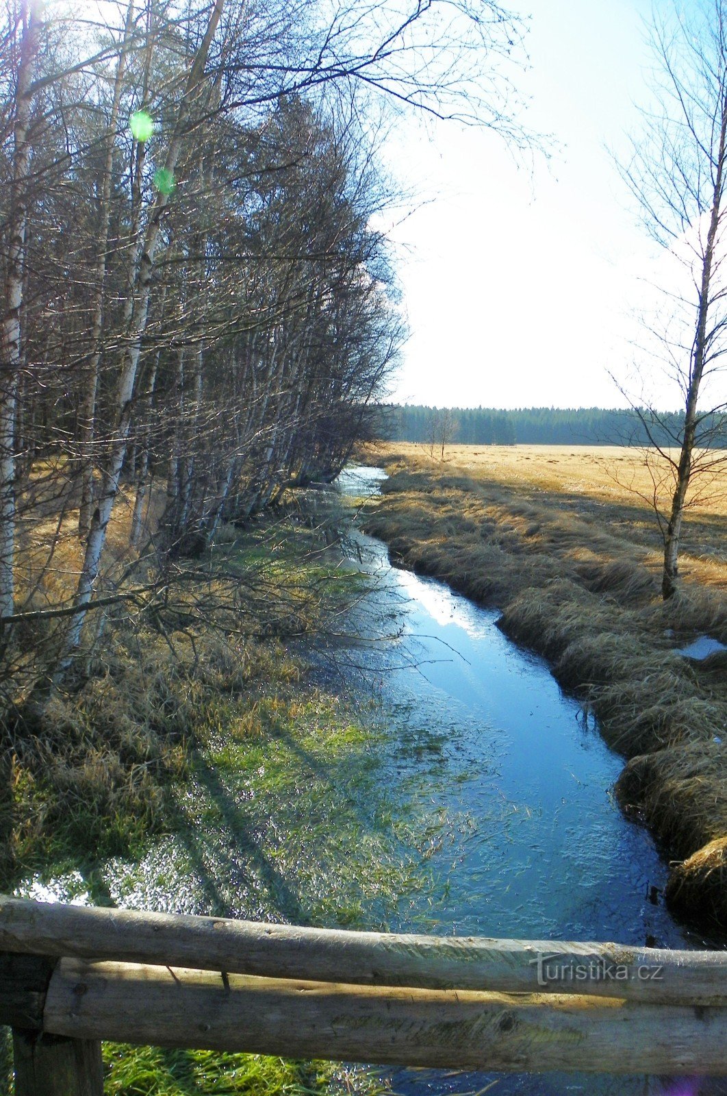 Dářské rašelinište víz