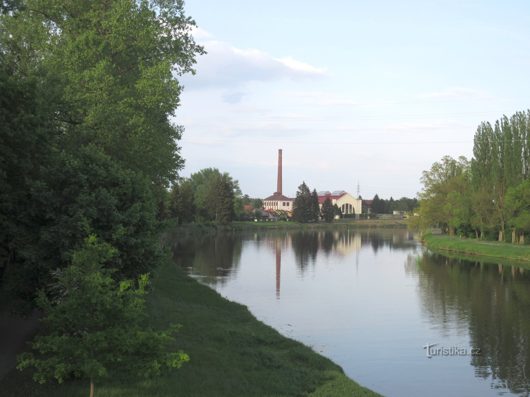 The water plant attracted me