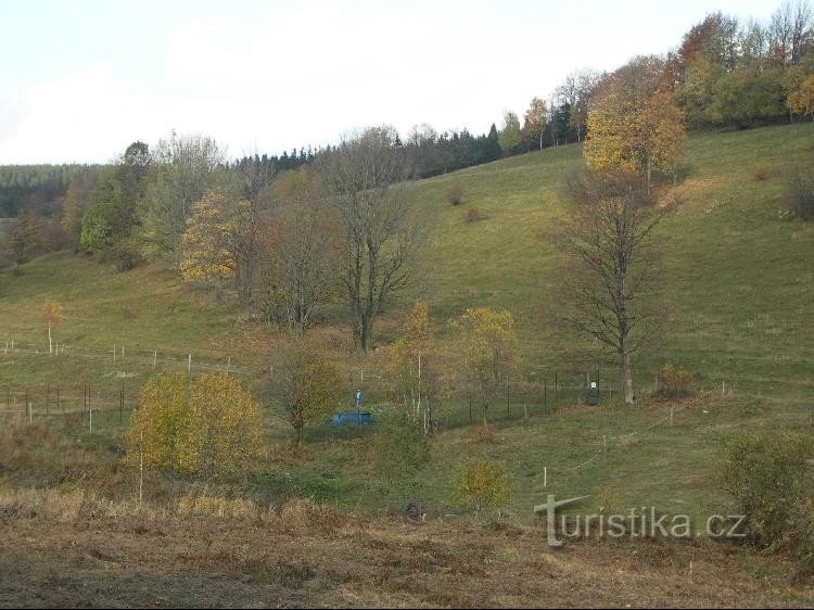 Wasserwerk: Die Quellwiese wurde von Rindern übernommen. Das Gebiet ist unzugänglich, Bäche sind drin