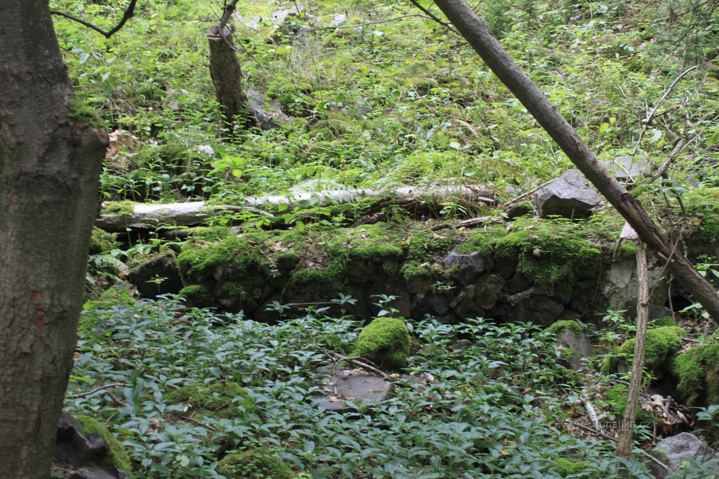 Aqueduc Au hêtre de l'eau