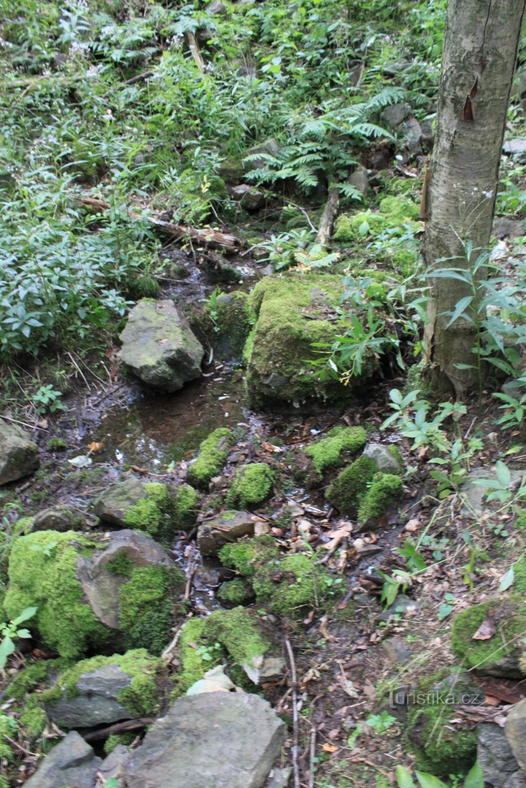 Waterwerken Bij de waterbeuk