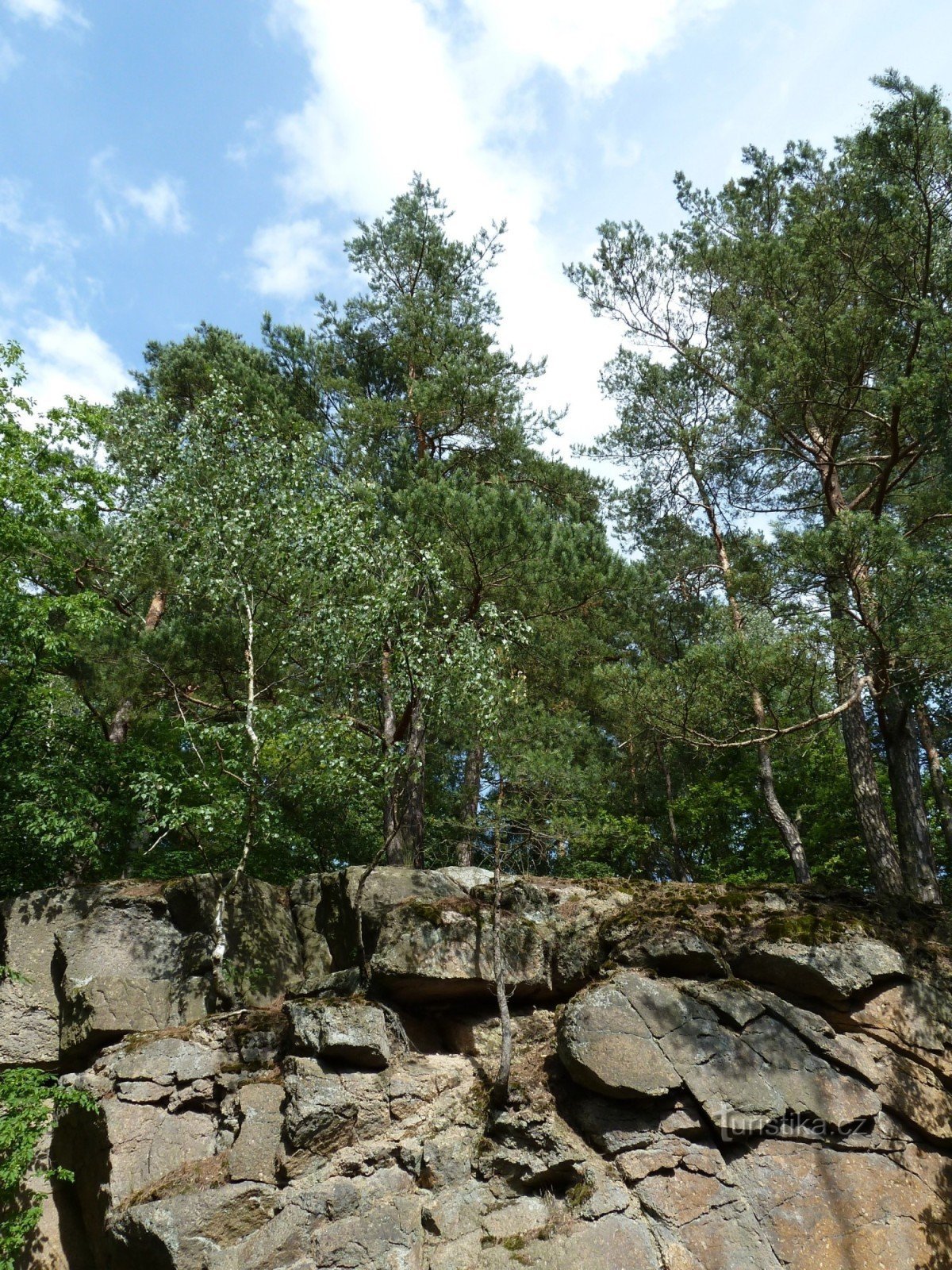 Buchenwälder von Voděradské