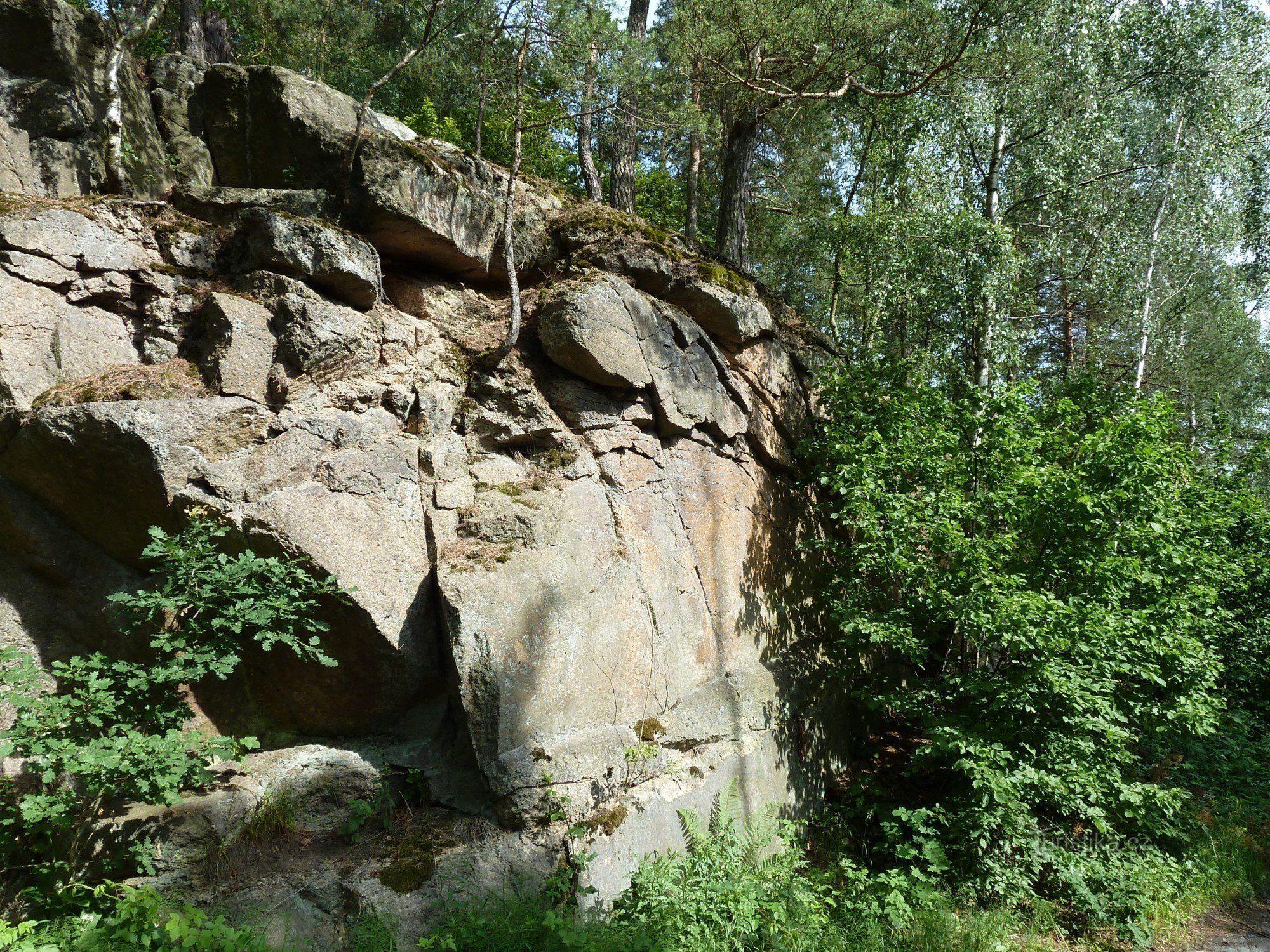 Buchenwälder von Voděradské