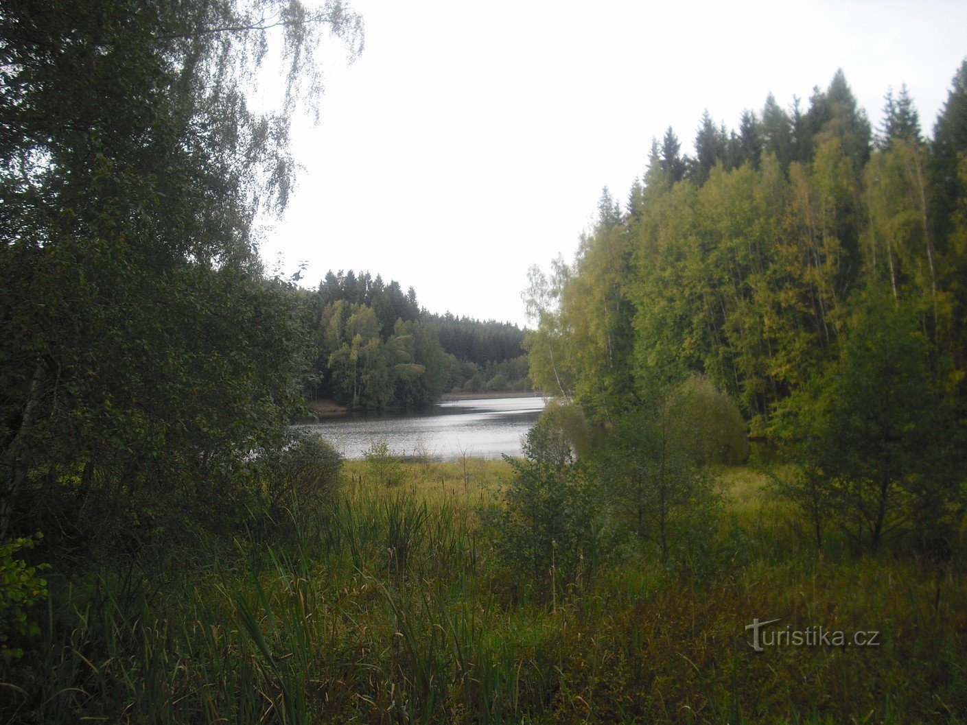 Hồ chứa nước Bílý Halštrov gần Dolní Pasek, một phần của thị trấn Aš