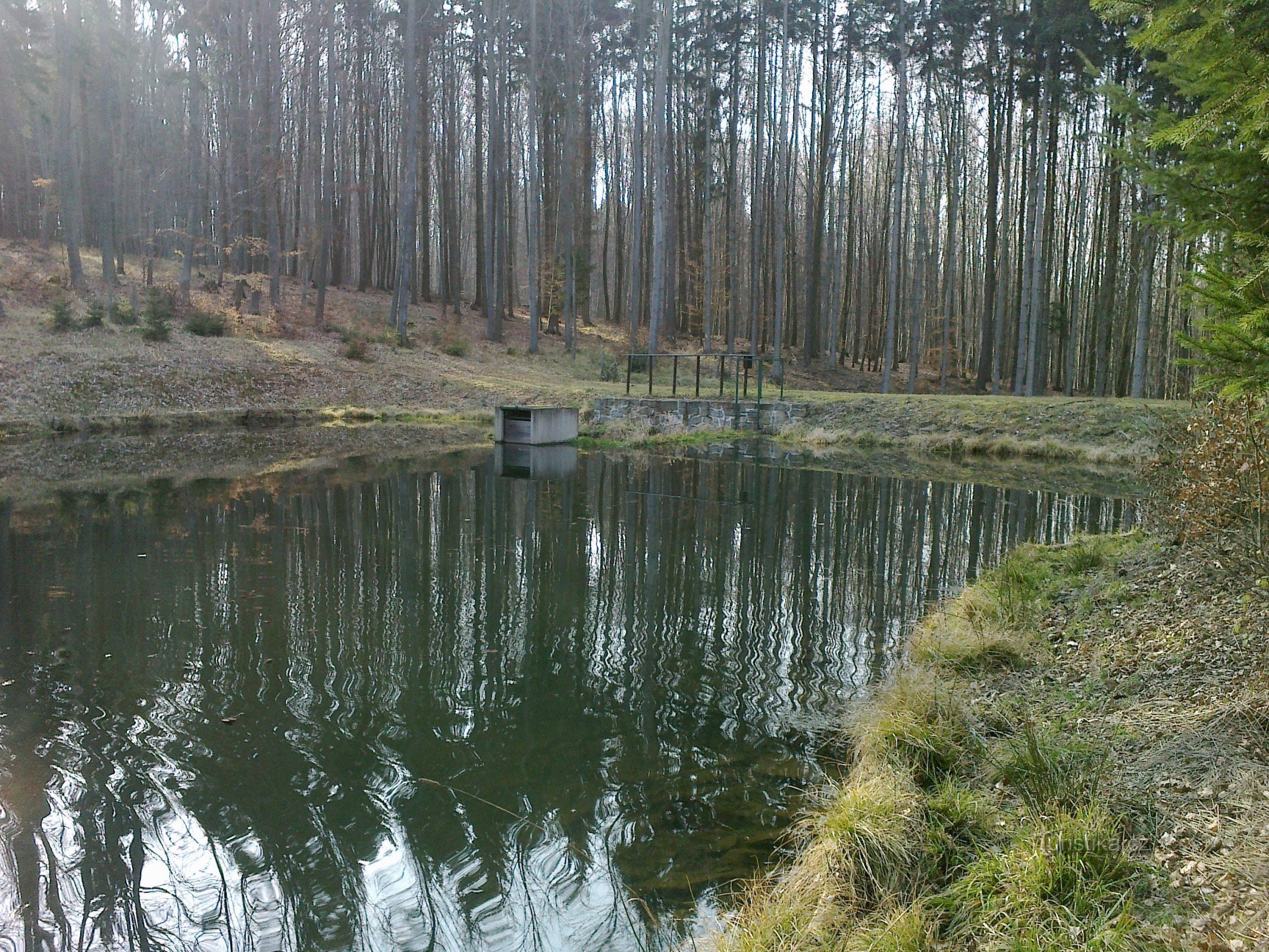 Schindler I vandreservoir