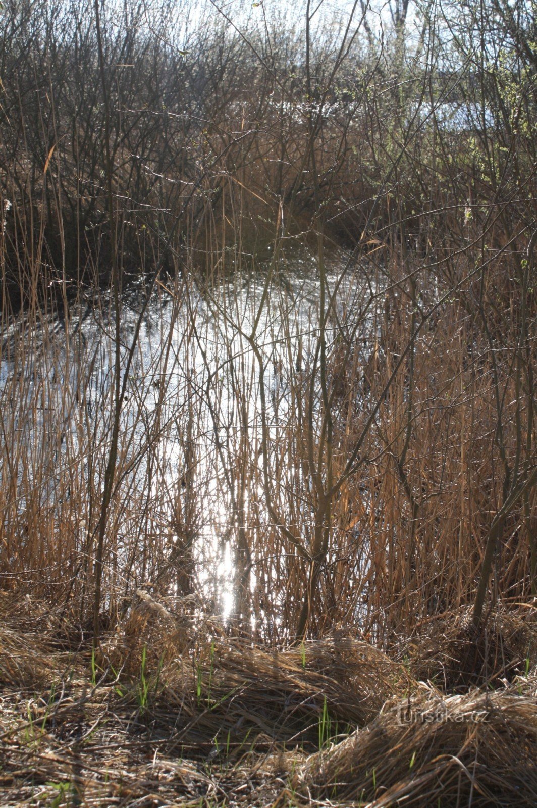 Een plas water op het schiereiland