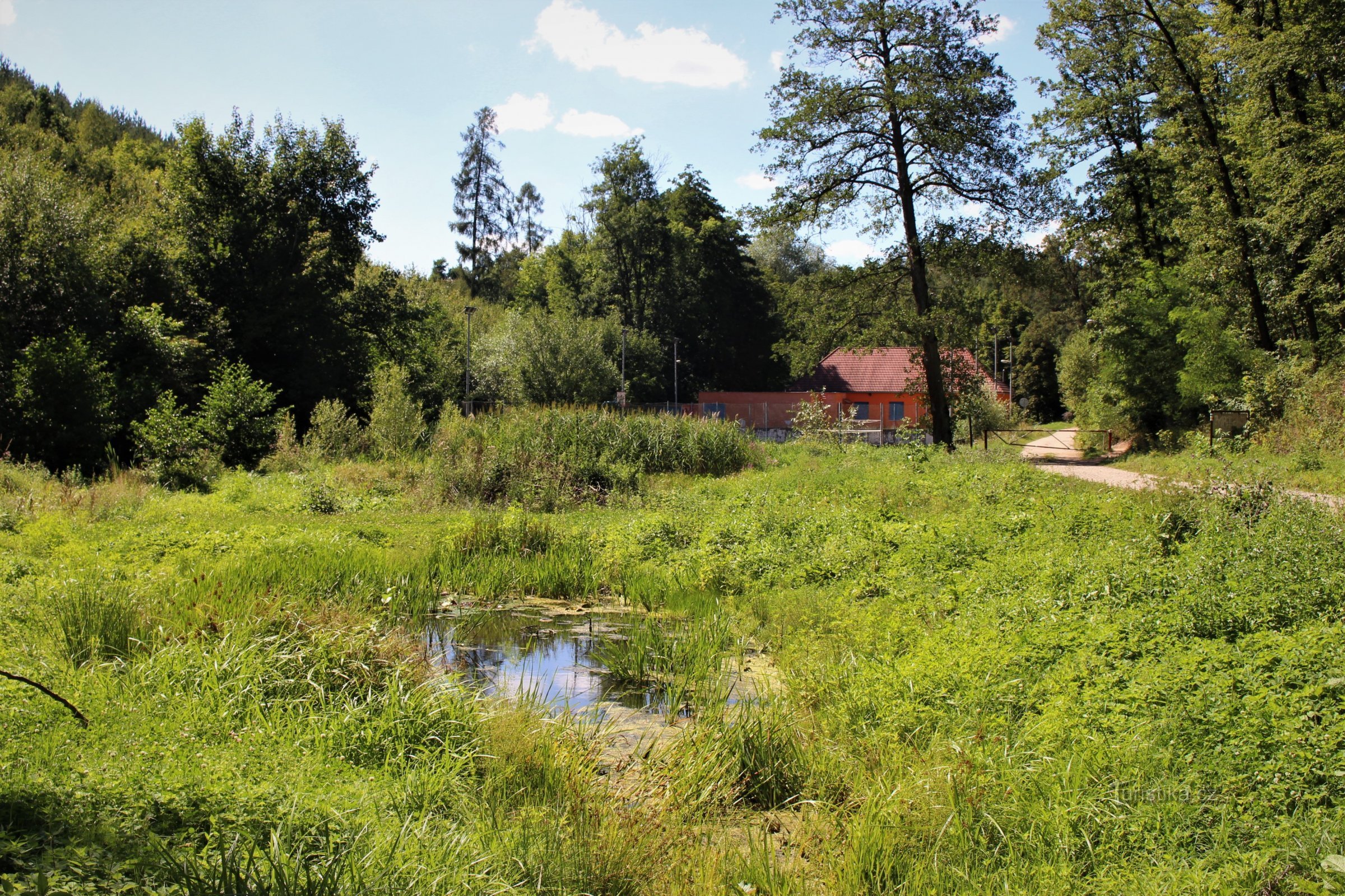 A pool of water in a stream valley