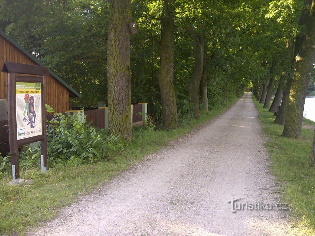 Sentier de l'eau - arrêt dix