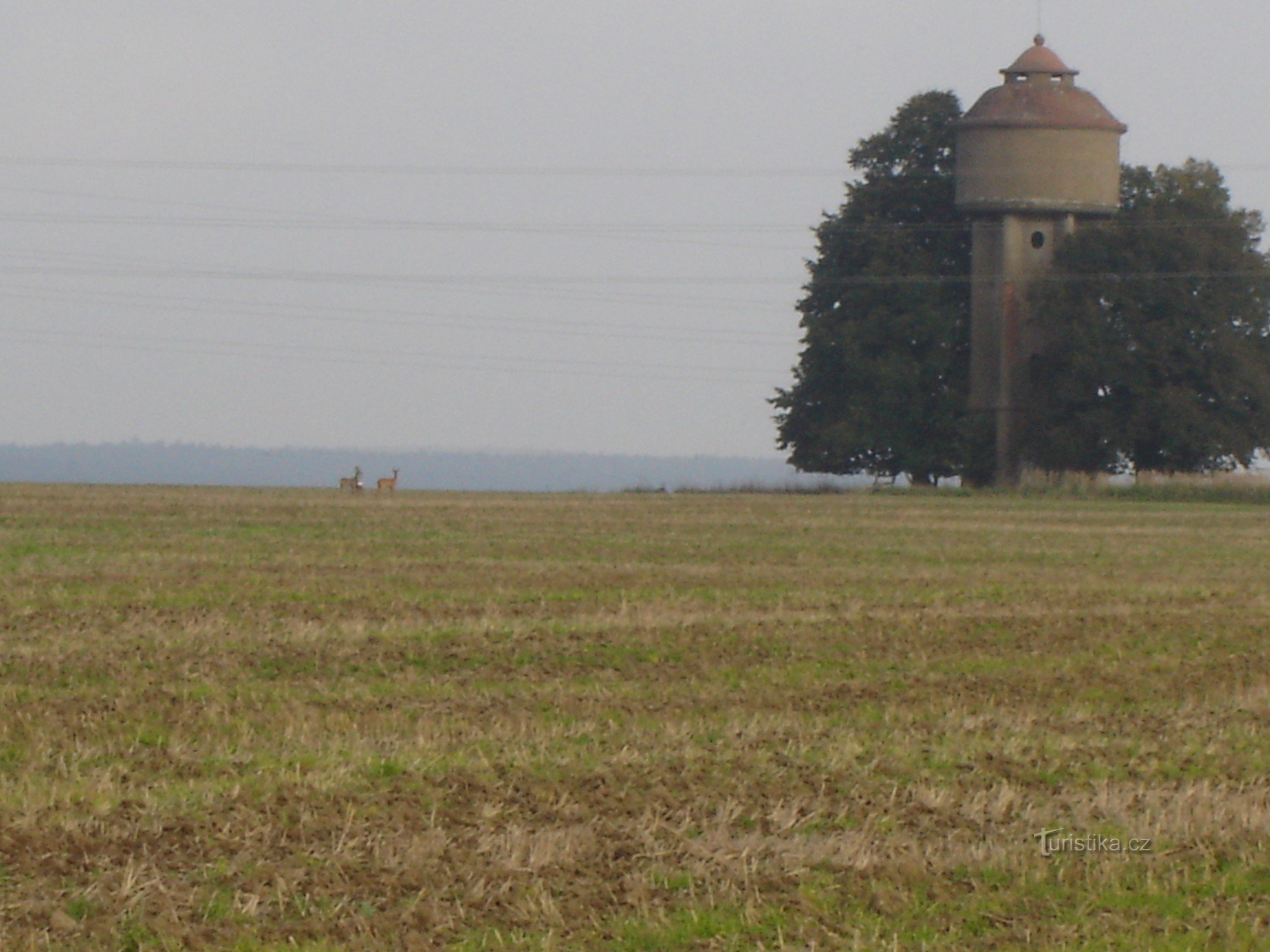 Reservoir in de buurt van het dorp Senožaty