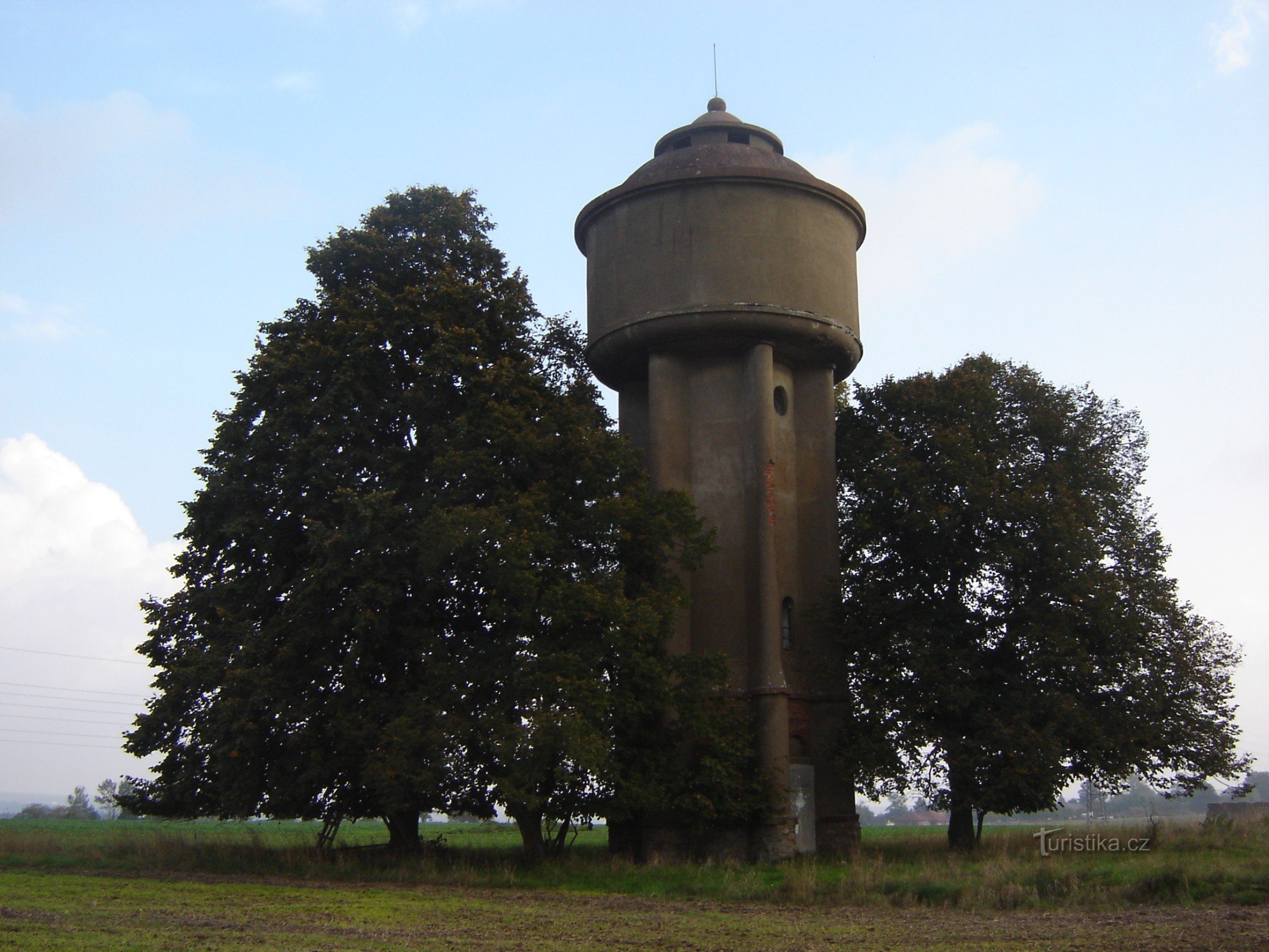 Reservoir lähellä Senožatyn kylää - korkeita lehmuksia ympärillä