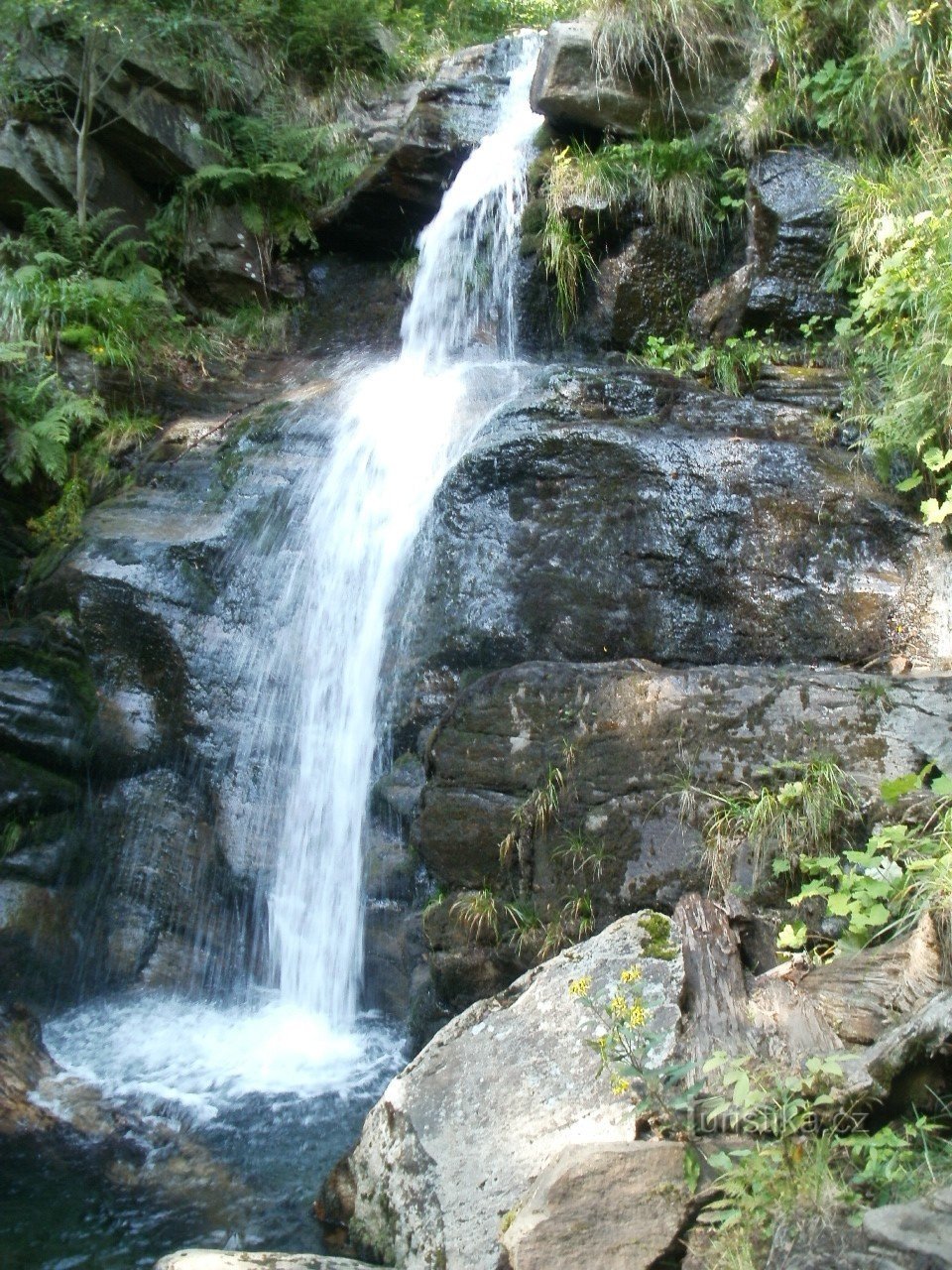 Cascade 1