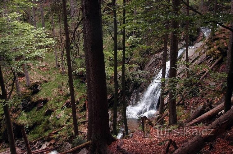 thác nước: Bílá Strž, nhờ các nhà bảo tồn thiên nhiên, bạn chỉ nhìn thấy những gì bạn nhìn thấy khi
