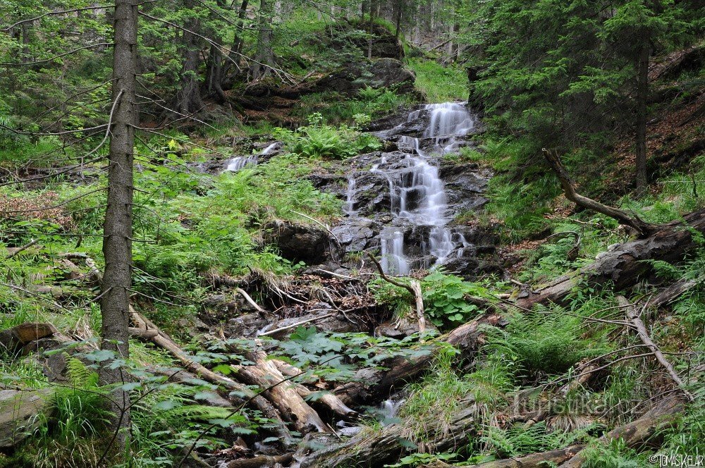 Водоспад Wild Stream (червень 2014)