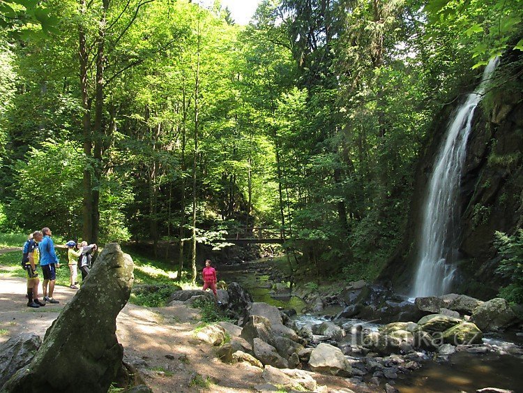 Cascada - valea Terezina