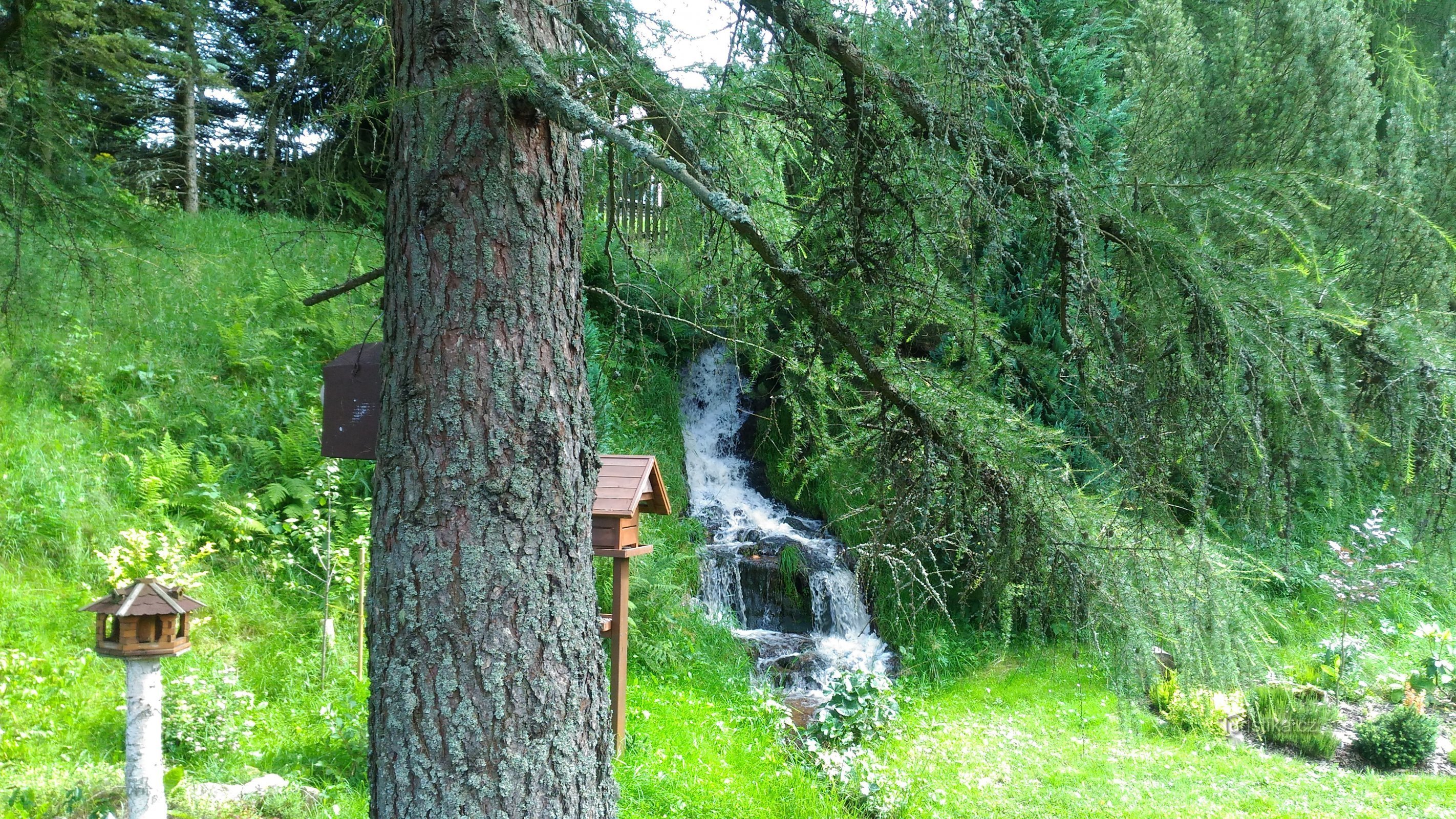 Chute d'eau à Načetín.