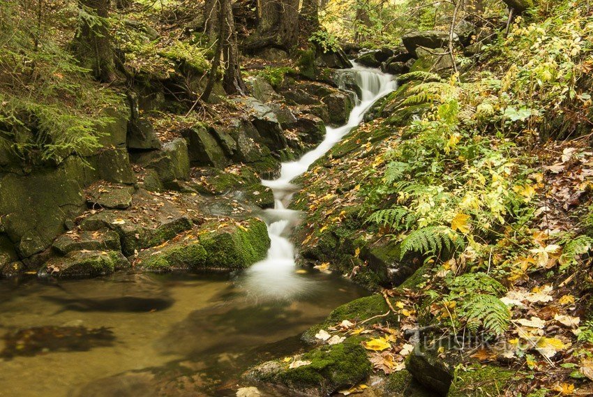 Cascada de unos 2m