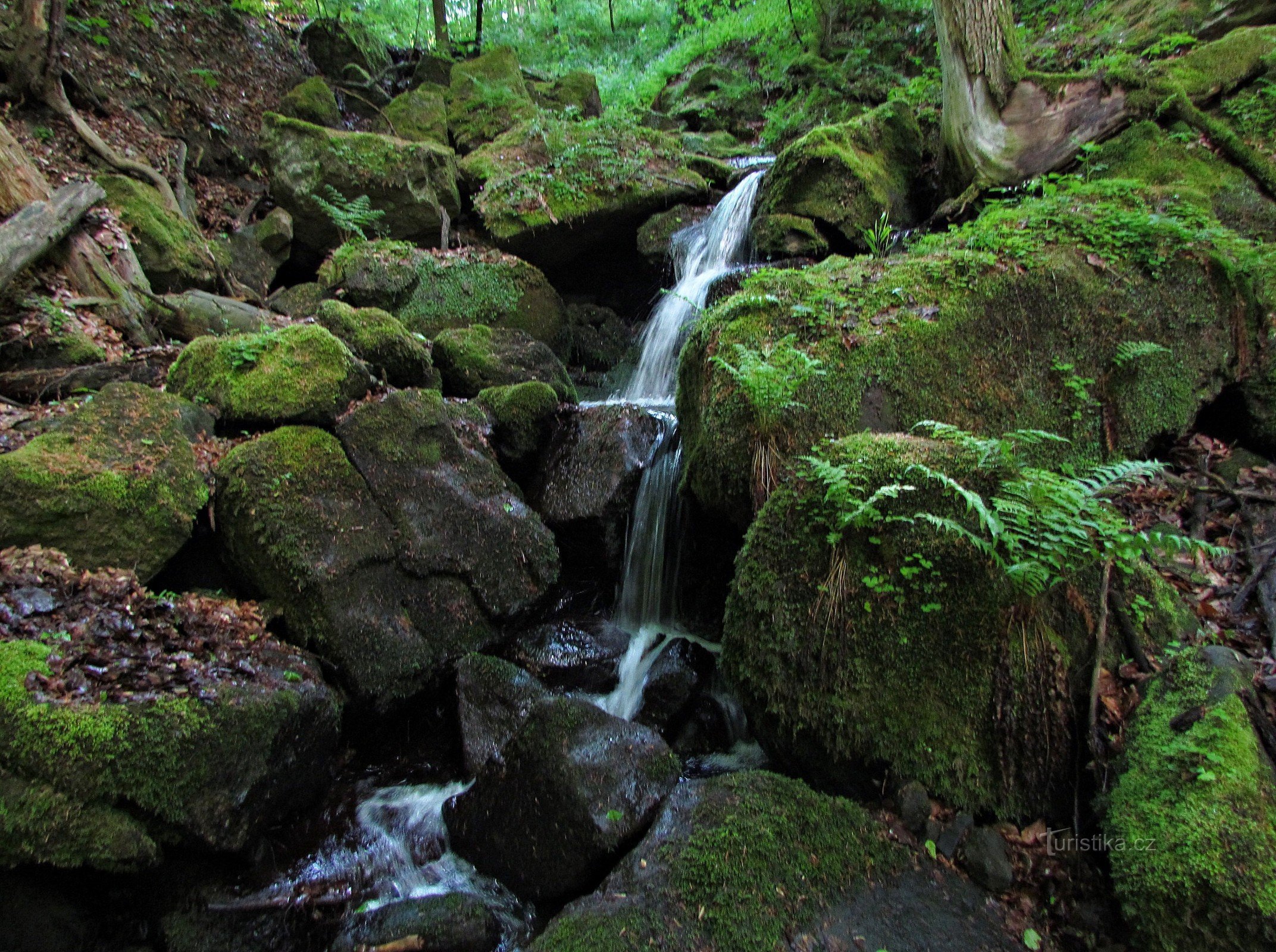 Watervallen en watervallen onder Bludný