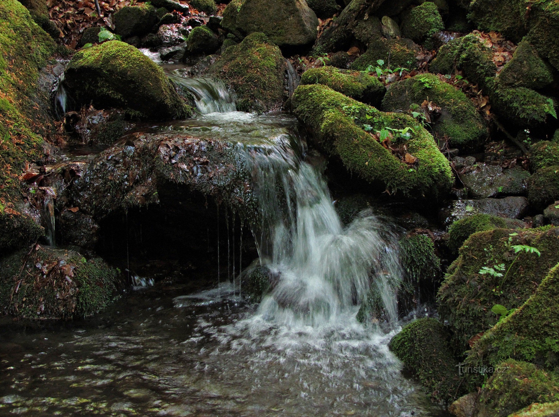 Watervallen en watervallen onder Bludný