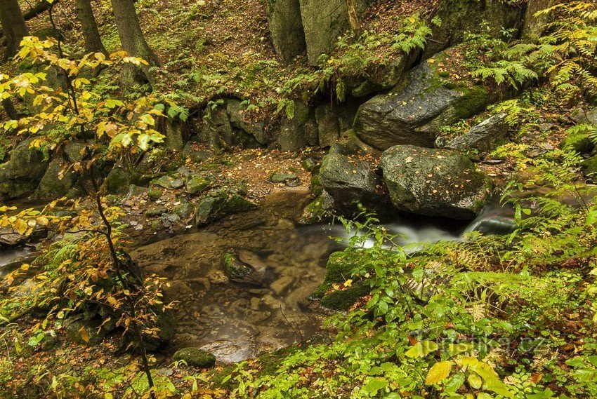 De watervallen van Malá Morava