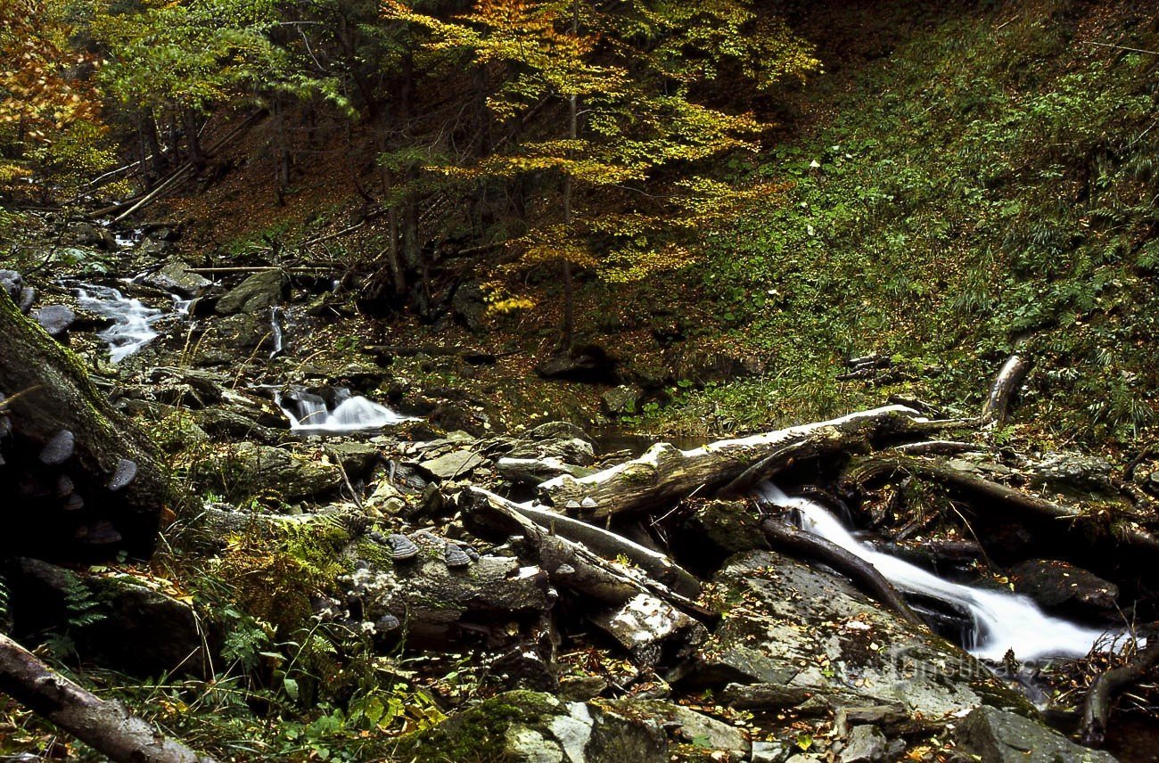 Cascadas de misericordia