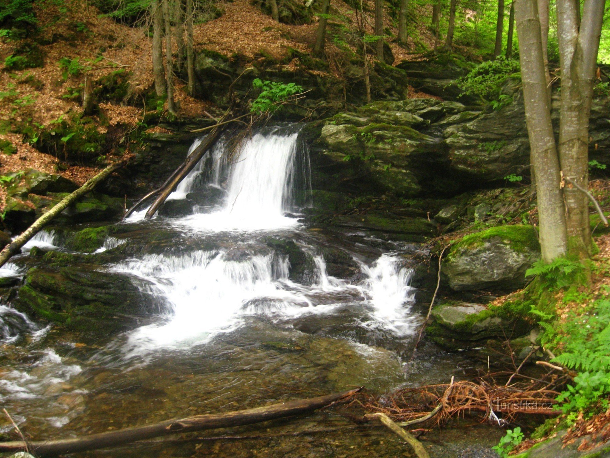 Cascades Skalni Potok