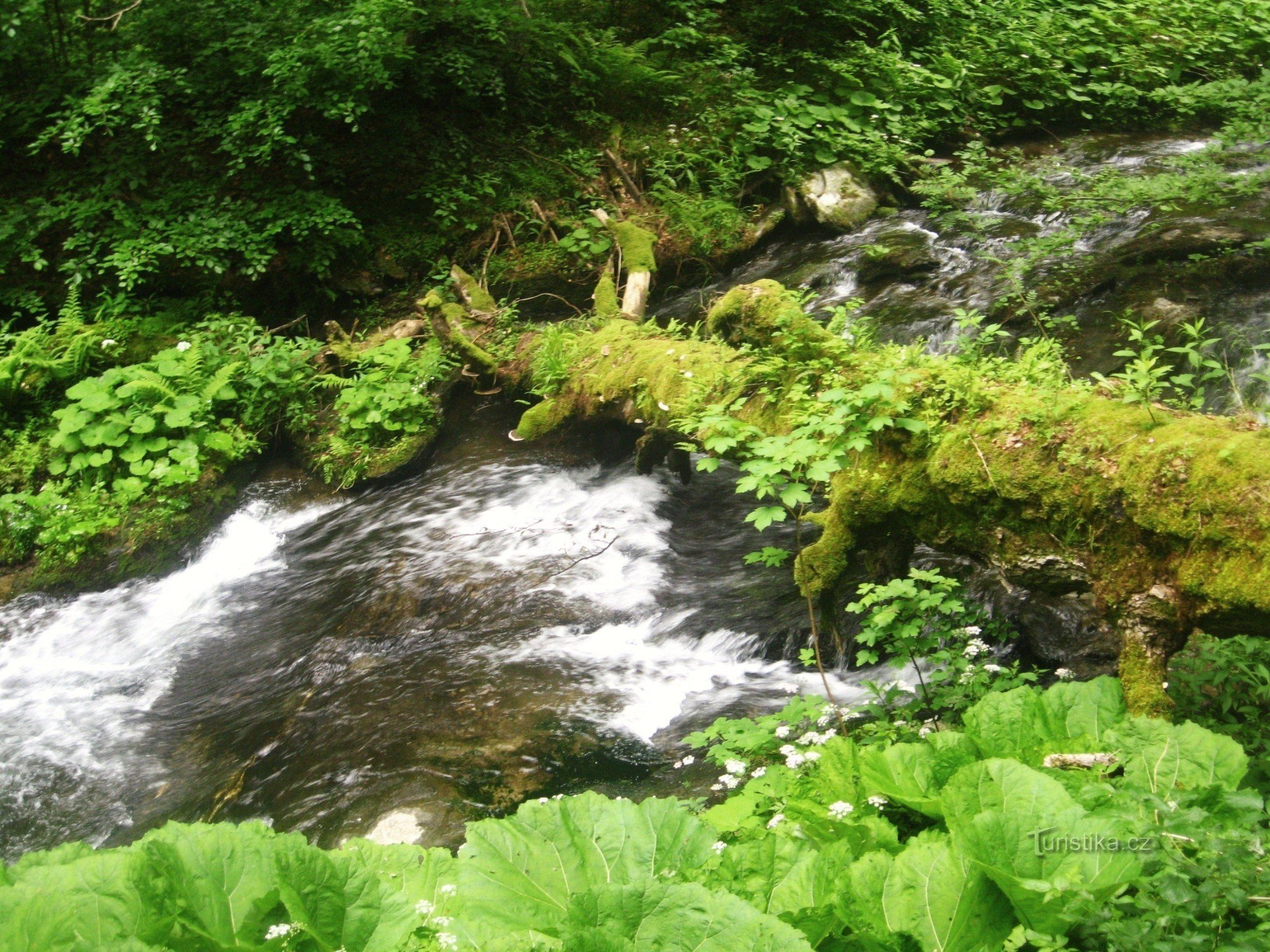 Skalní potok watervallen