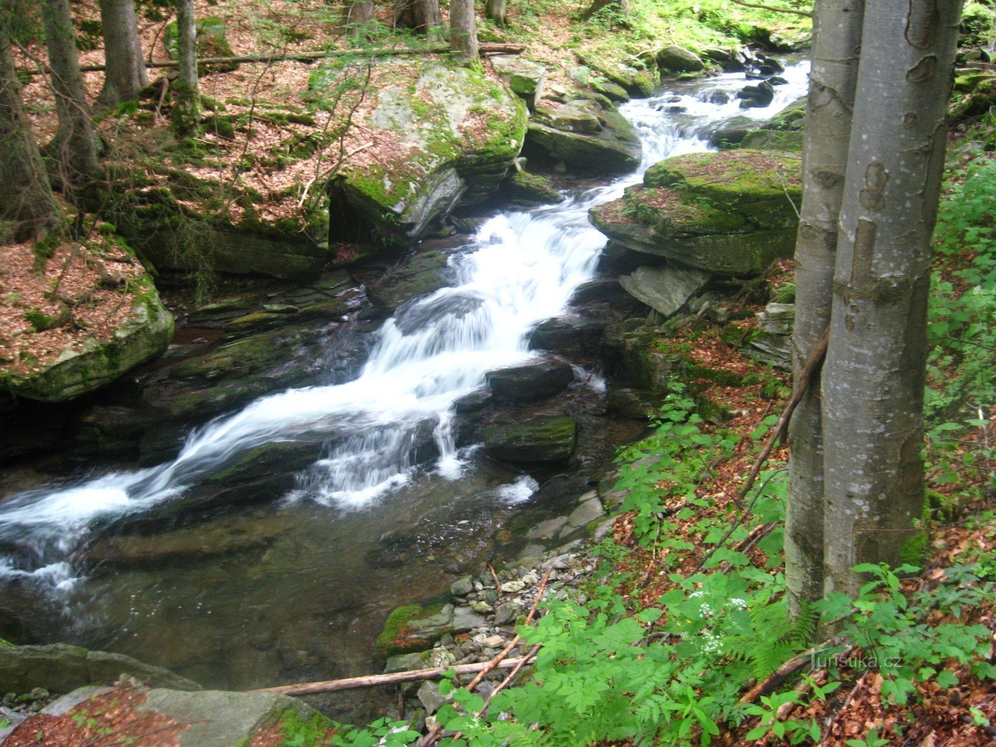Skalní potok vattenfall