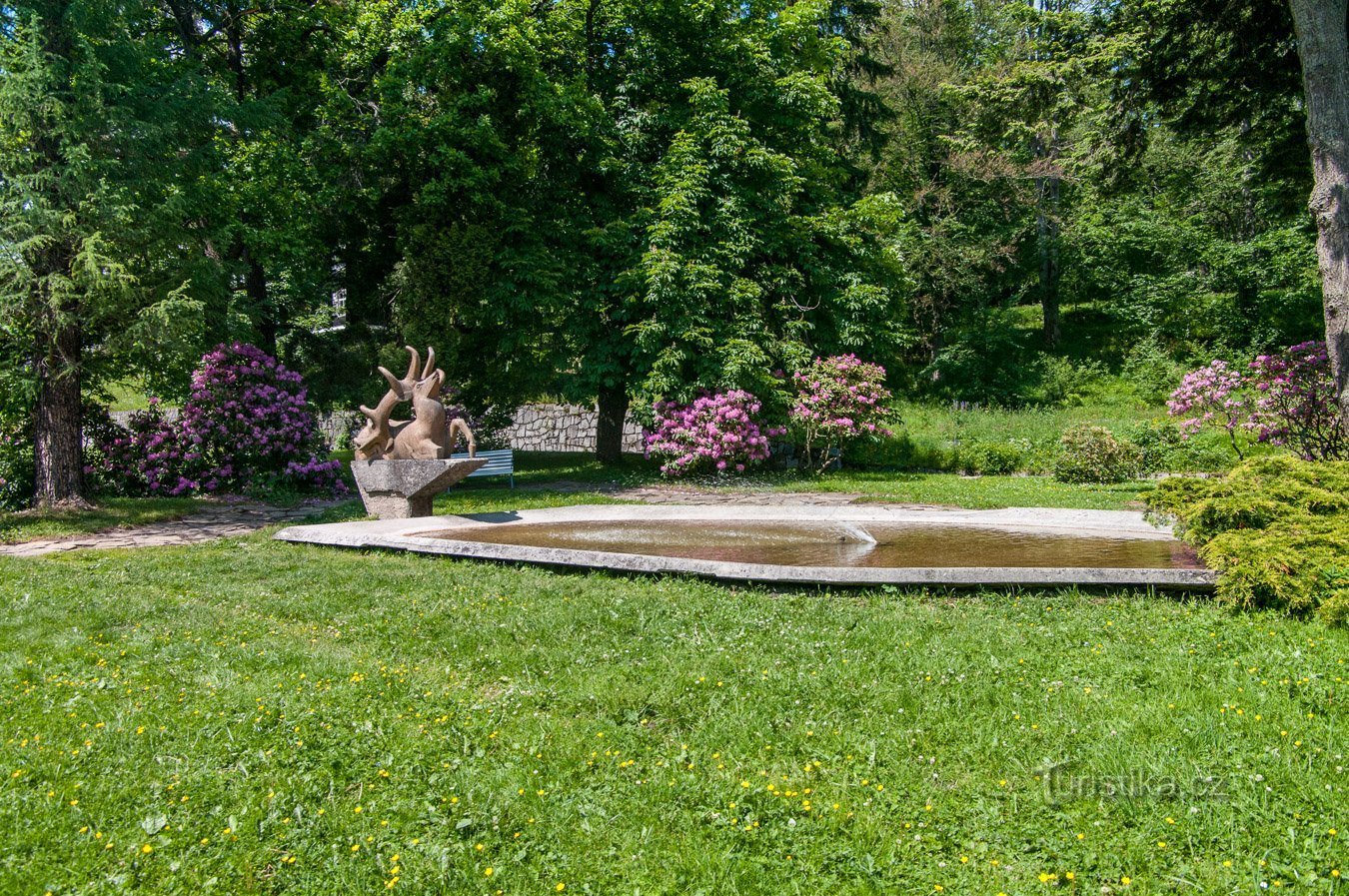 Fontana con cervo