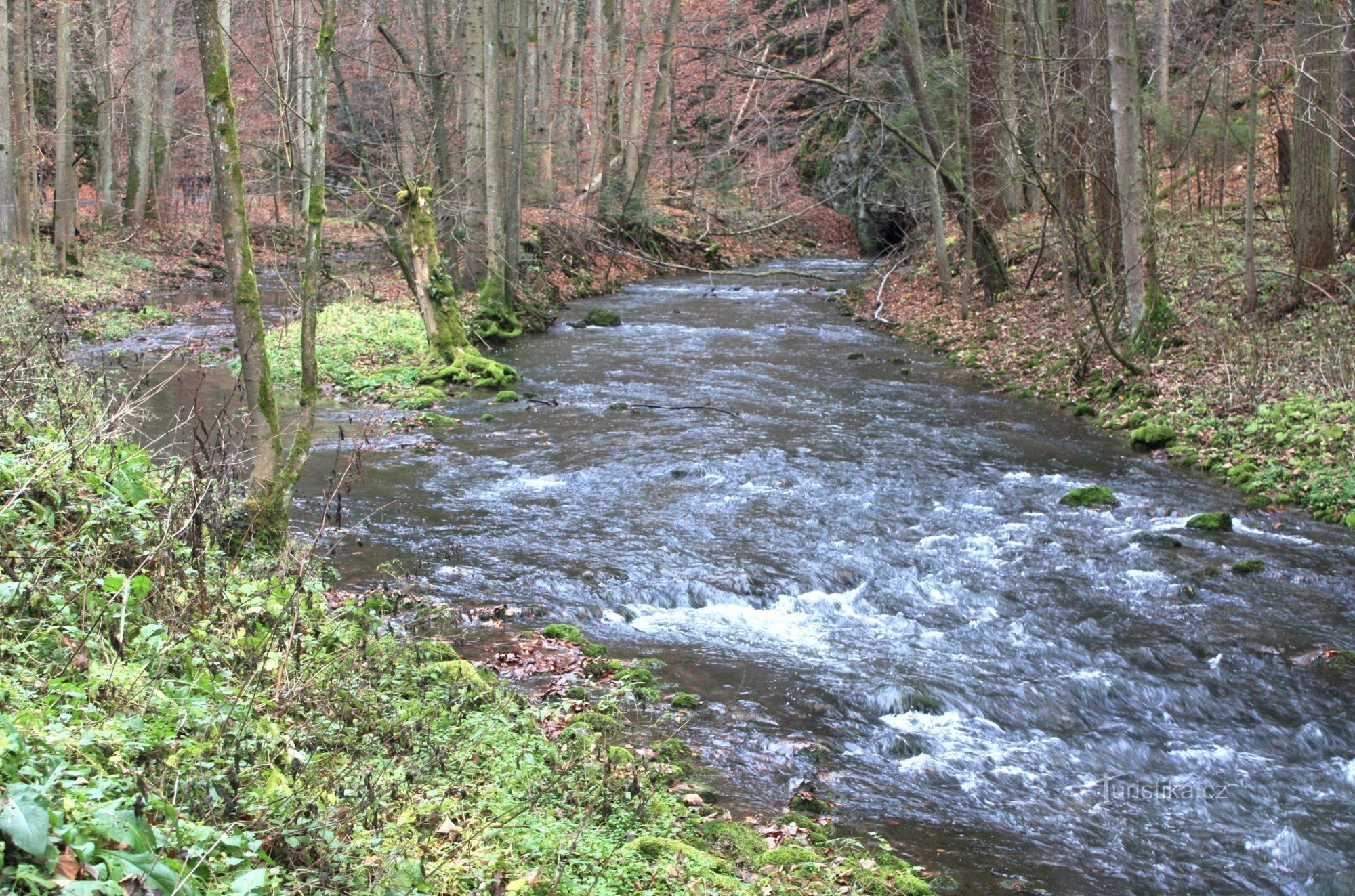 Waters from the Small and Great outlet in autumn