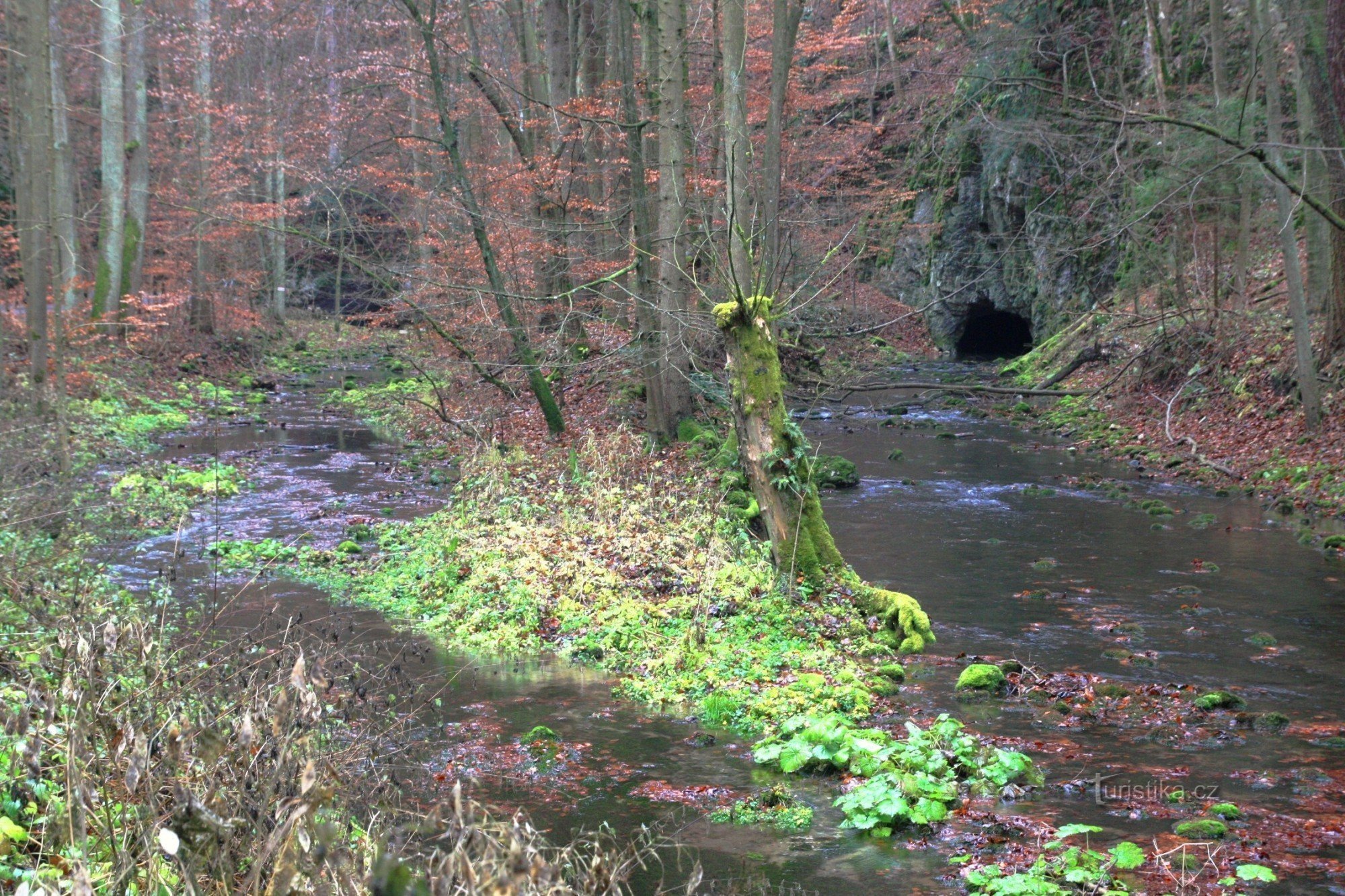 Waters from the Small and Great outlet in autumn