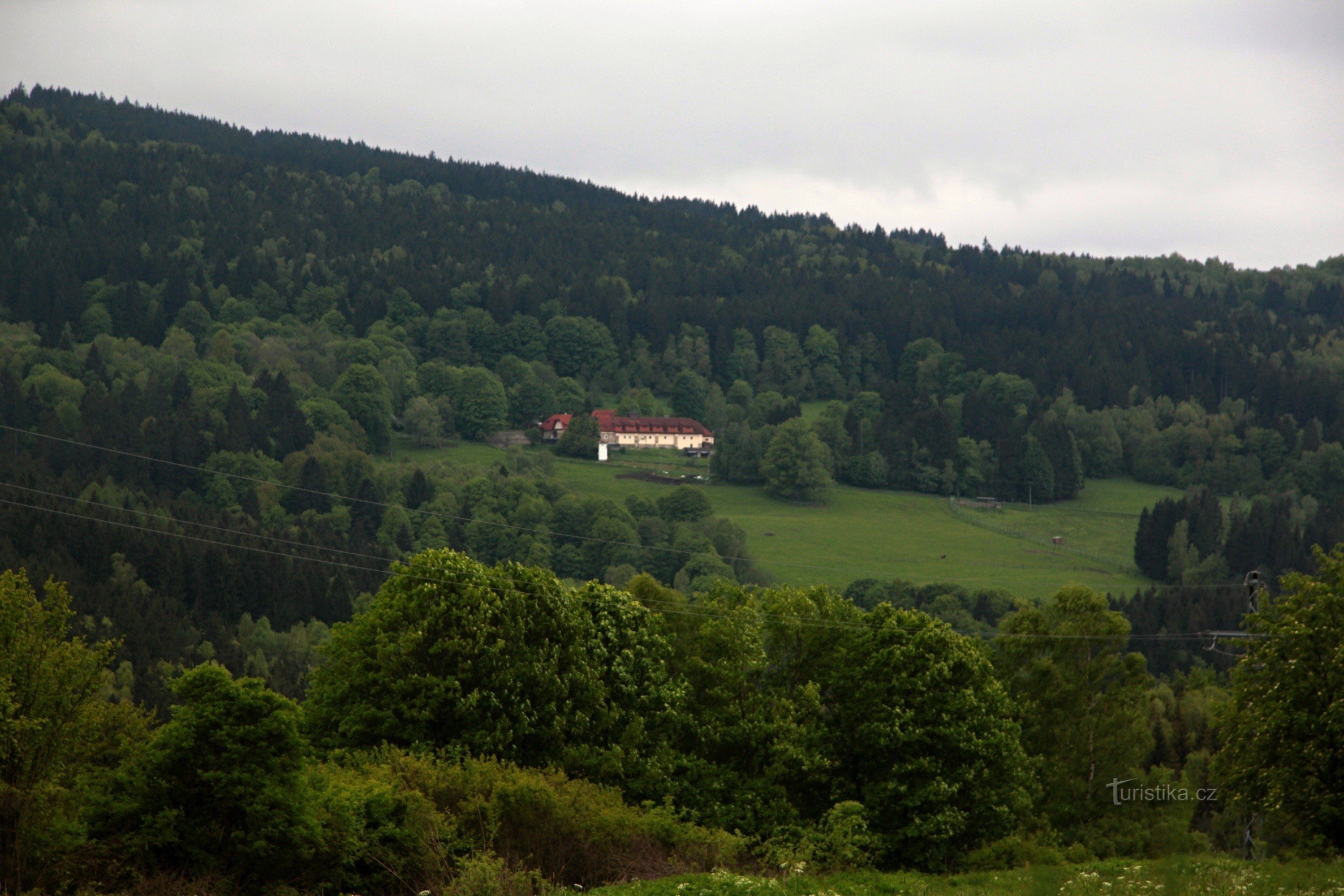 Vogelsang din Red