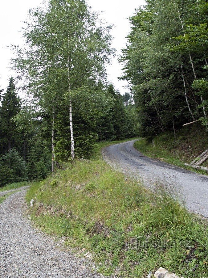 Estrada militar no desvio com a estrada florestal (vermelho de Vojtíškov)