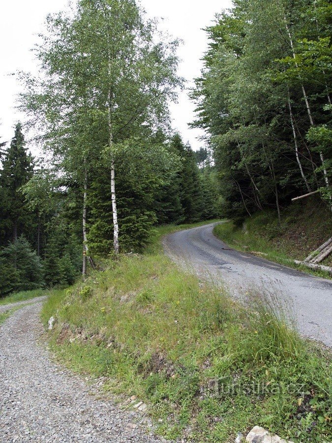 Strada militare al bivio con la strada forestale (rossa da Vojtíškov)