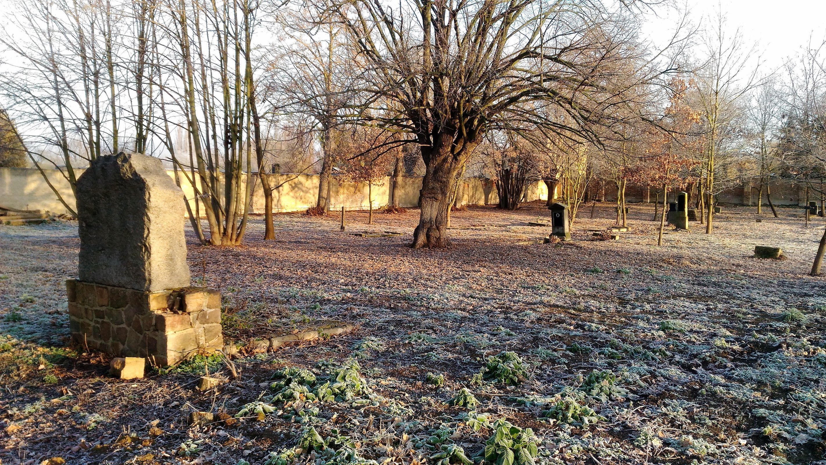 Bohušovice nad Ohří の軍人墓地。