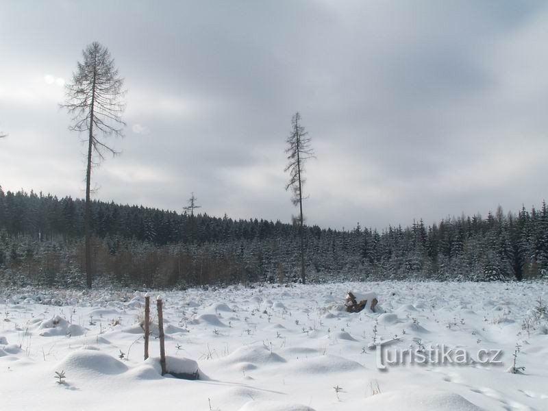 Militärgebiet Březina