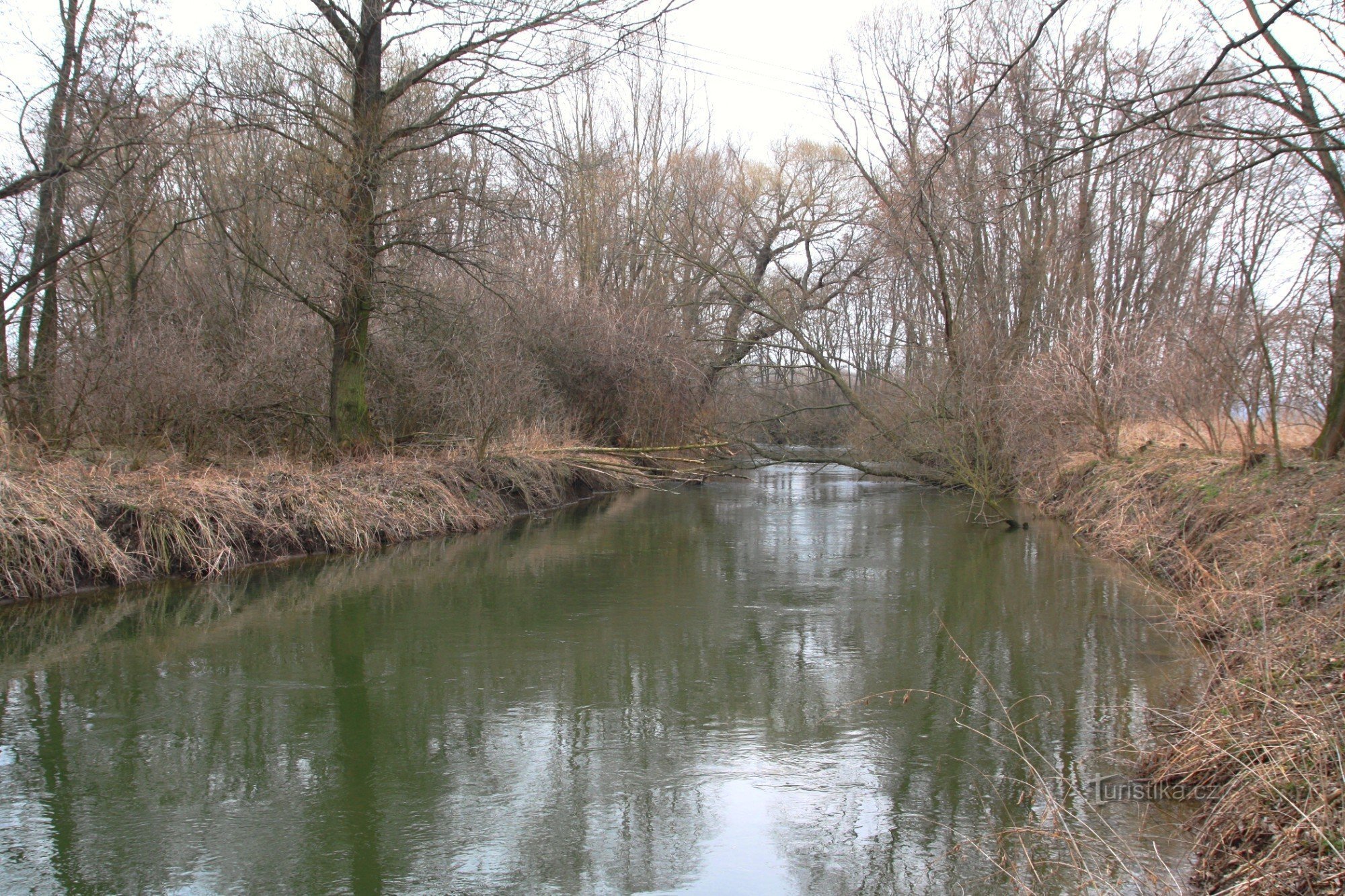 Vojkovice drive