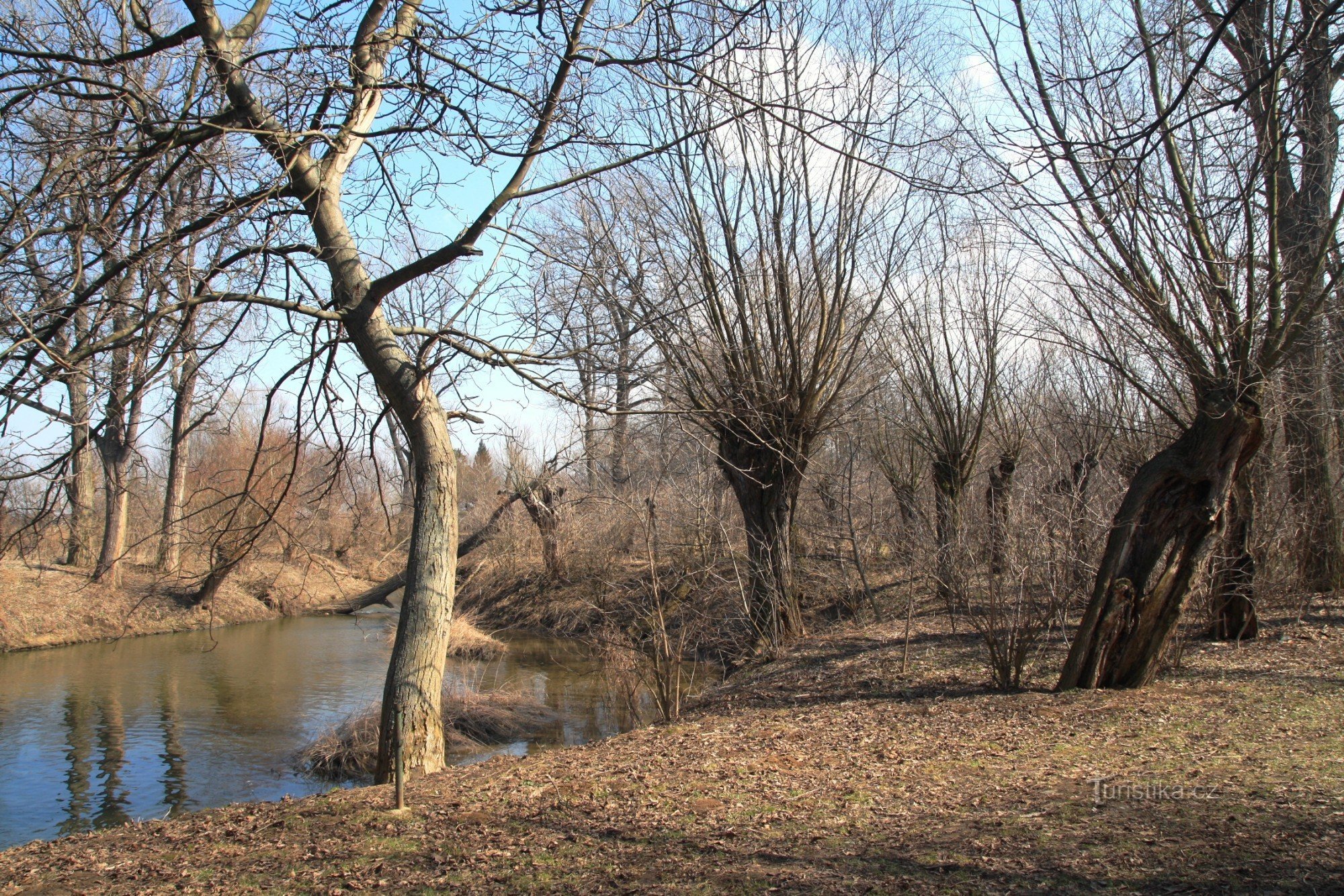 Vojkovice drive with head-shaped brbs