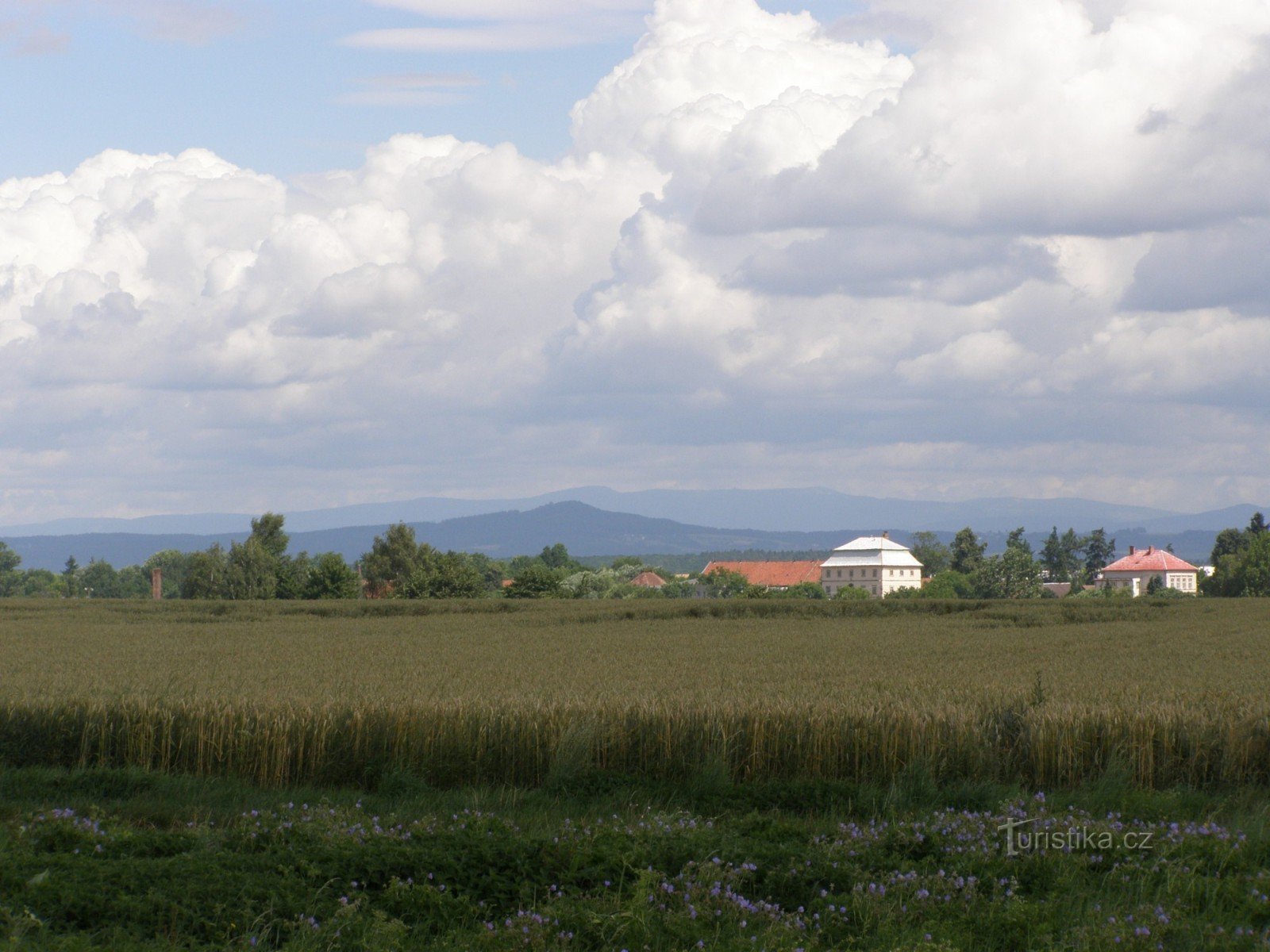 Cloches