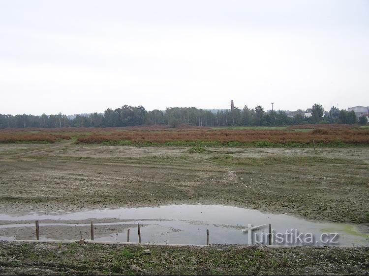 Volenský rybník: Volenský rybník - iaz drenat