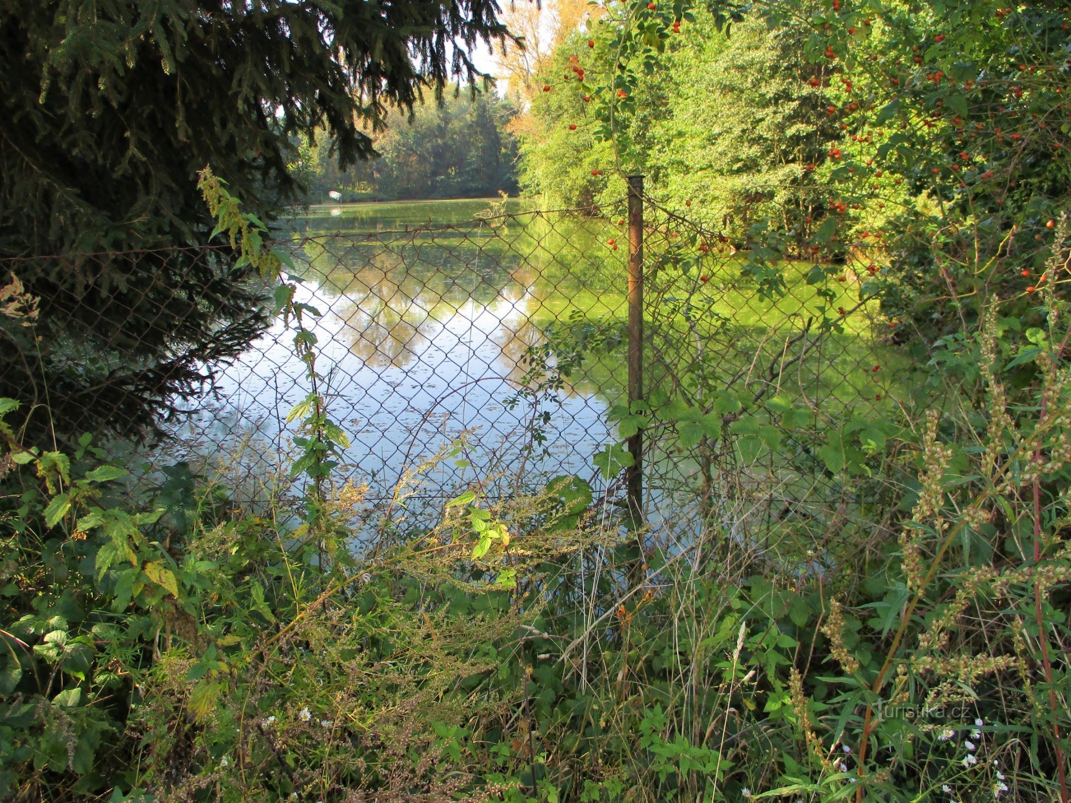 Voženílkan laulu (Hradec Králové, 13.9.2020)